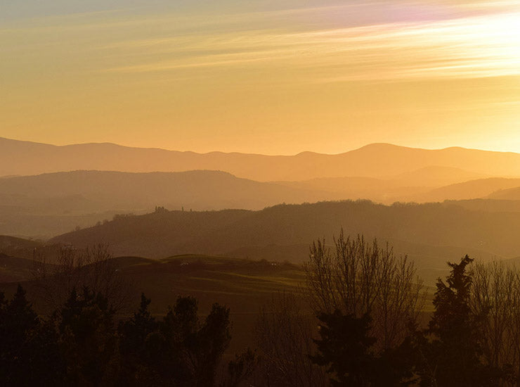 Becoming Carbon Neutral - A Letter From Our CEO